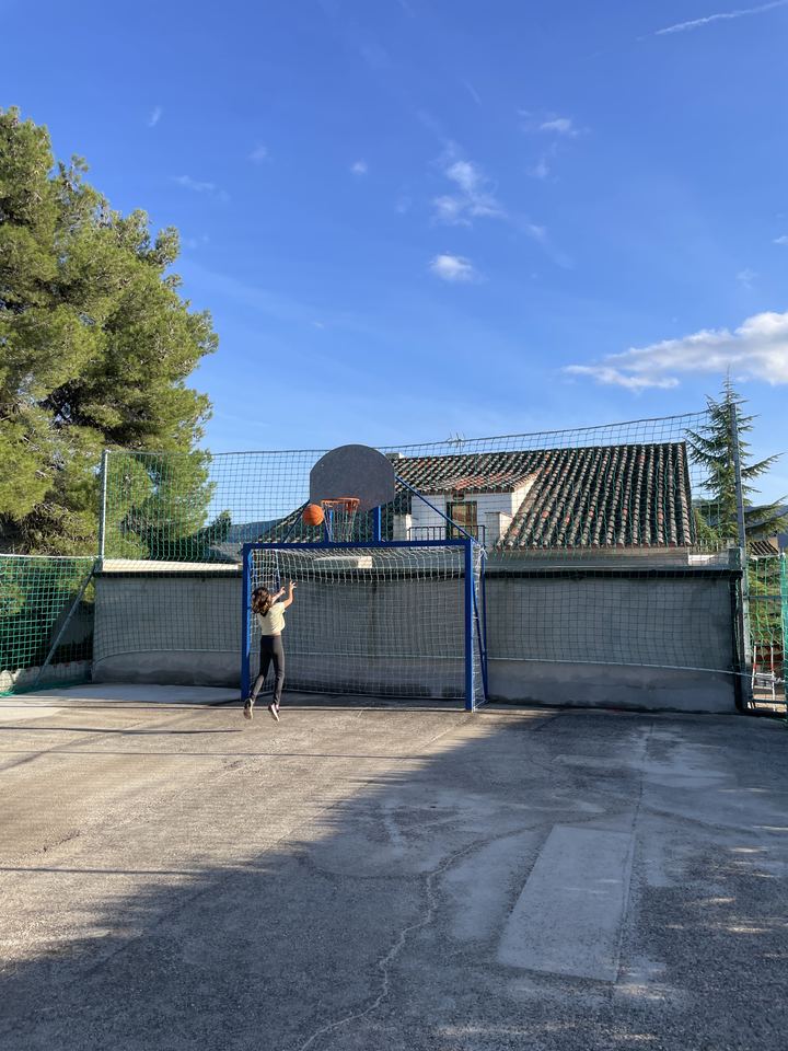 Pista de baloncesto y pinos